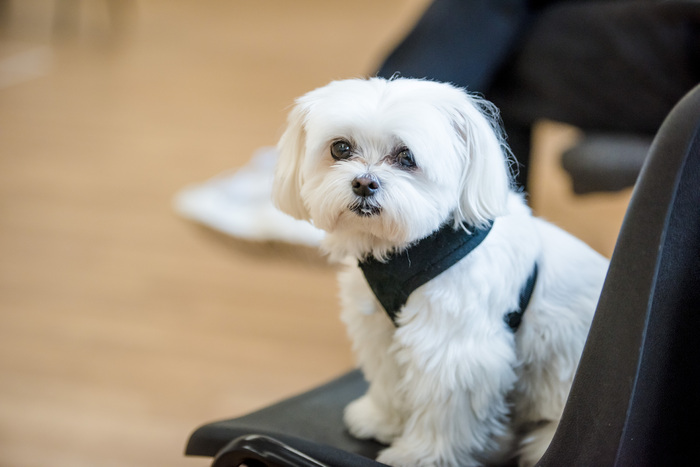 Photos: Rob Madge in Rehearsal For BUYER & CELLAR  Image