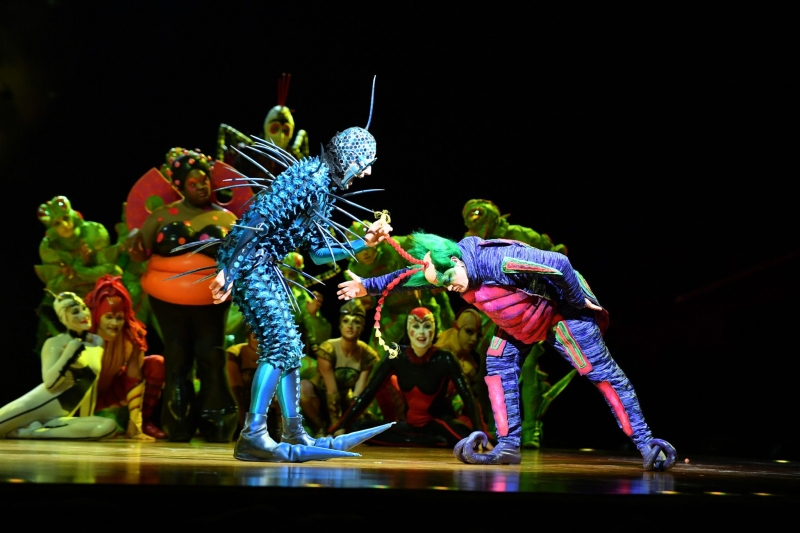 Review: Cirque Du Soleil's OVO at Capital One Arena Image