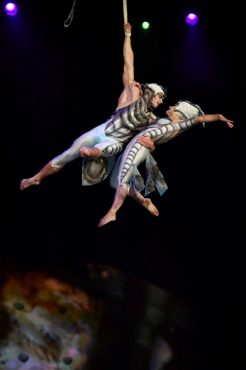 Review: Cirque Du Soleil's OVO at Capital One Arena  Image