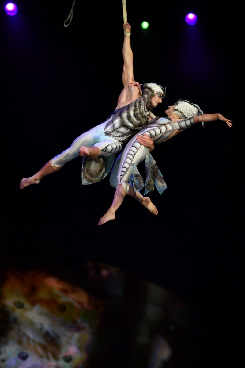 Review: Cirque Du Soleil's OVO at Capital One Arena Image