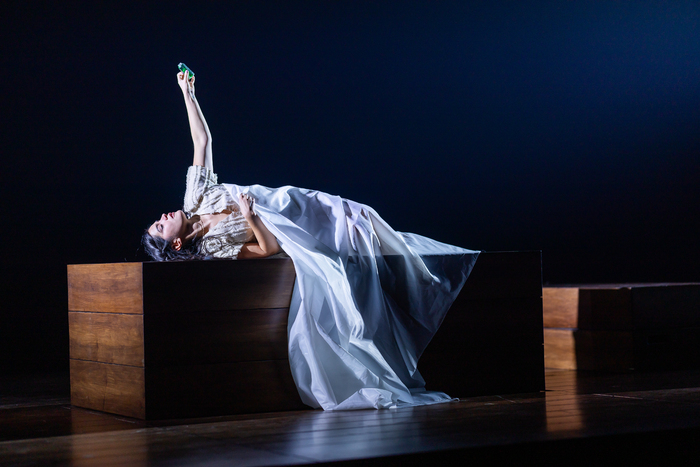 Photos: ROMEO AND JULIET at A.R.T. New Images Image