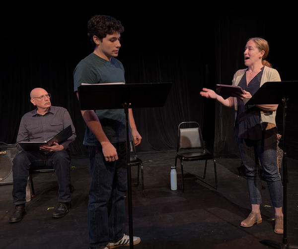 Photos: IRREPLACEABLE Holds First Developmental Reading at Spark Theatre Festival  Image