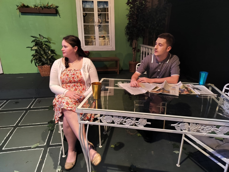 Review: ALL MY SONS at Twin Lakes Playhouse  Image