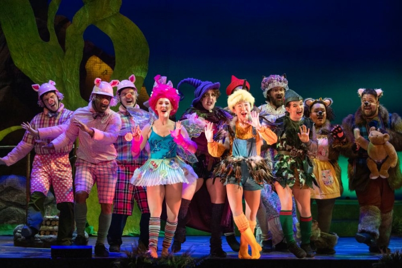 Review: SHREK THE MUSICAL at Reynolds Performance Hall  Image