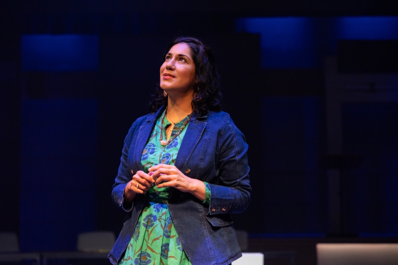 Review: THE HISPANIC/LATINO/LATINA/LATINX/LATINE VOTE at STAGES Image