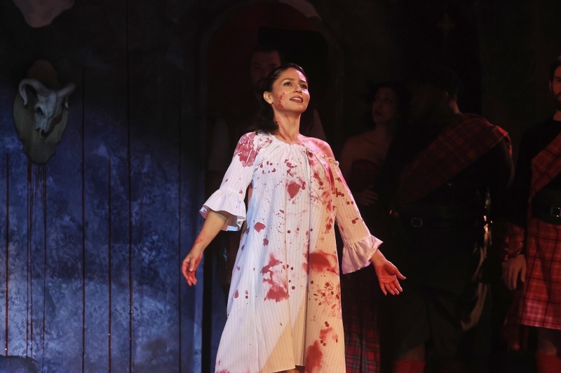 Review: LUCIA DE LAMMERMOOR at Opera In The Heights  Image