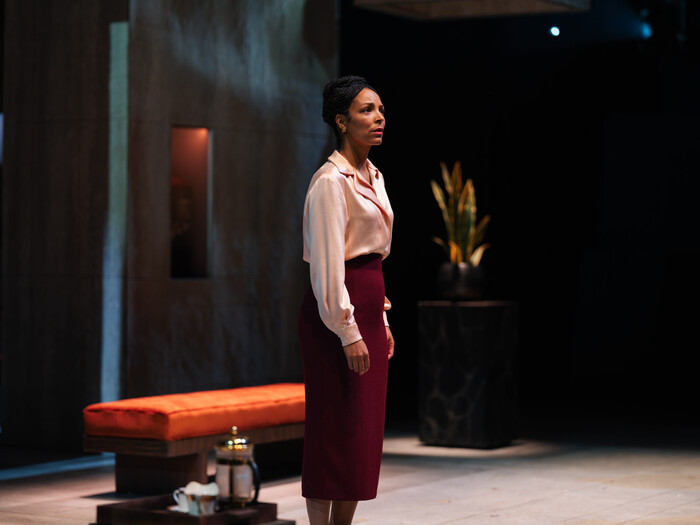 Photos: First Look At David Oyelowo And More In CORIOLANUS At The National Theatre Image