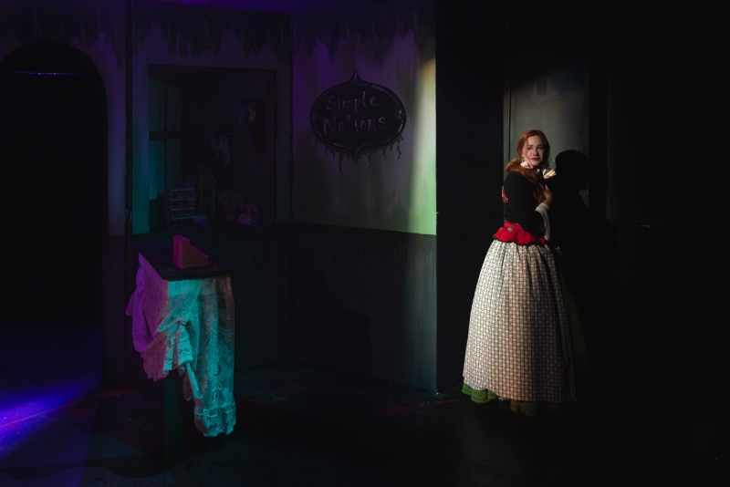 Review: PENNY DREADFULS: THE REMARKABLE ROOMING-HOUSE OF MADAME LE MONDE  Image