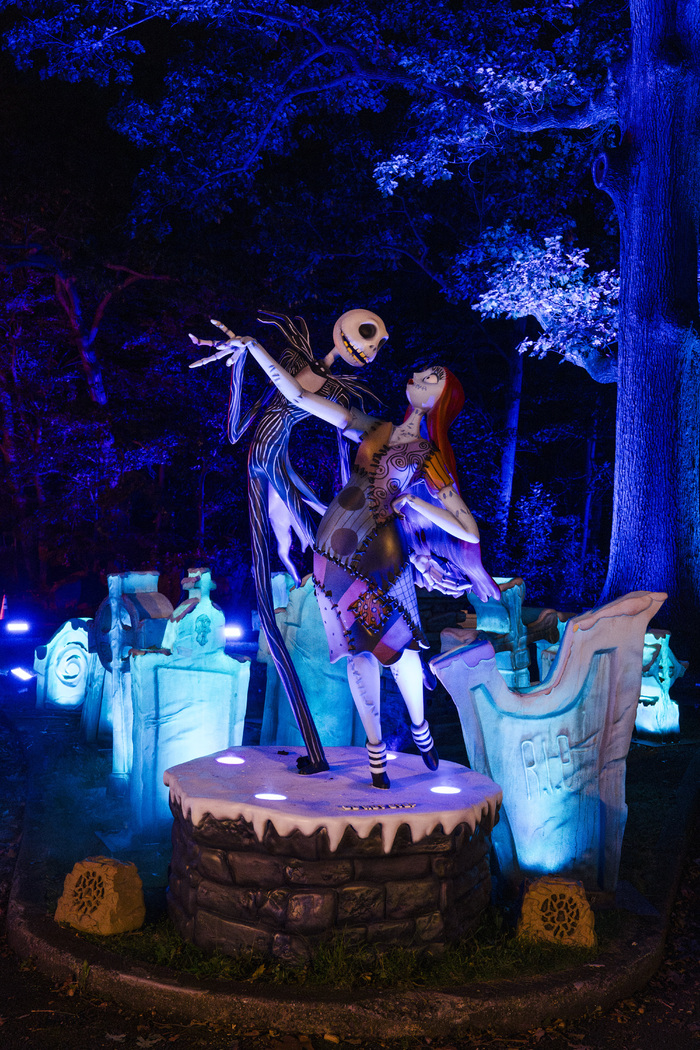 Photos: Inside THE NIGHTMARE BEFORE CHRISTMAS Light Trail at the New York Botanical Garden  Image