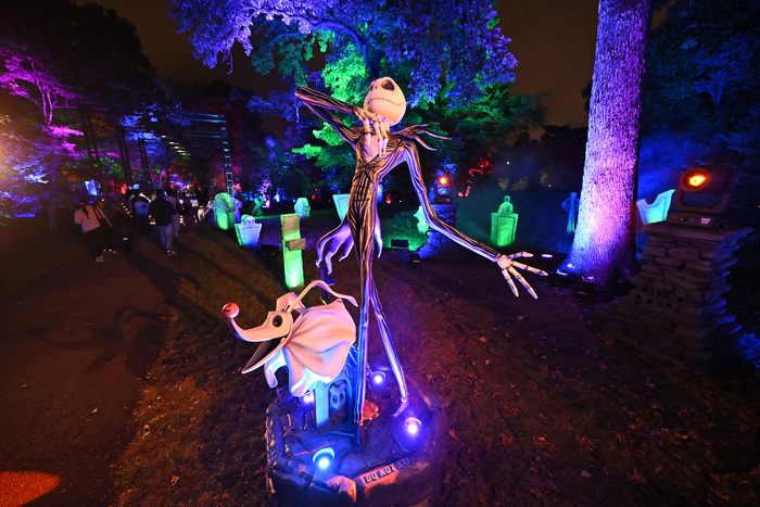 Photos: Inside THE NIGHTMARE BEFORE CHRISTMAS Light Trail at the New York Botanical Garden  Image