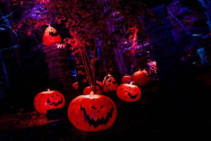Photos: Inside THE NIGHTMARE BEFORE CHRISTMAS Light Trail at the New York Botanical Garden Image