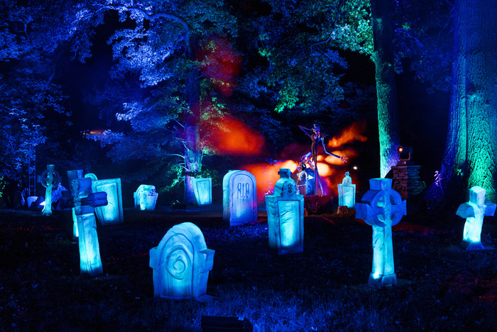 Photos: Inside THE NIGHTMARE BEFORE CHRISTMAS Light Trail at the New York Botanical Garden Image