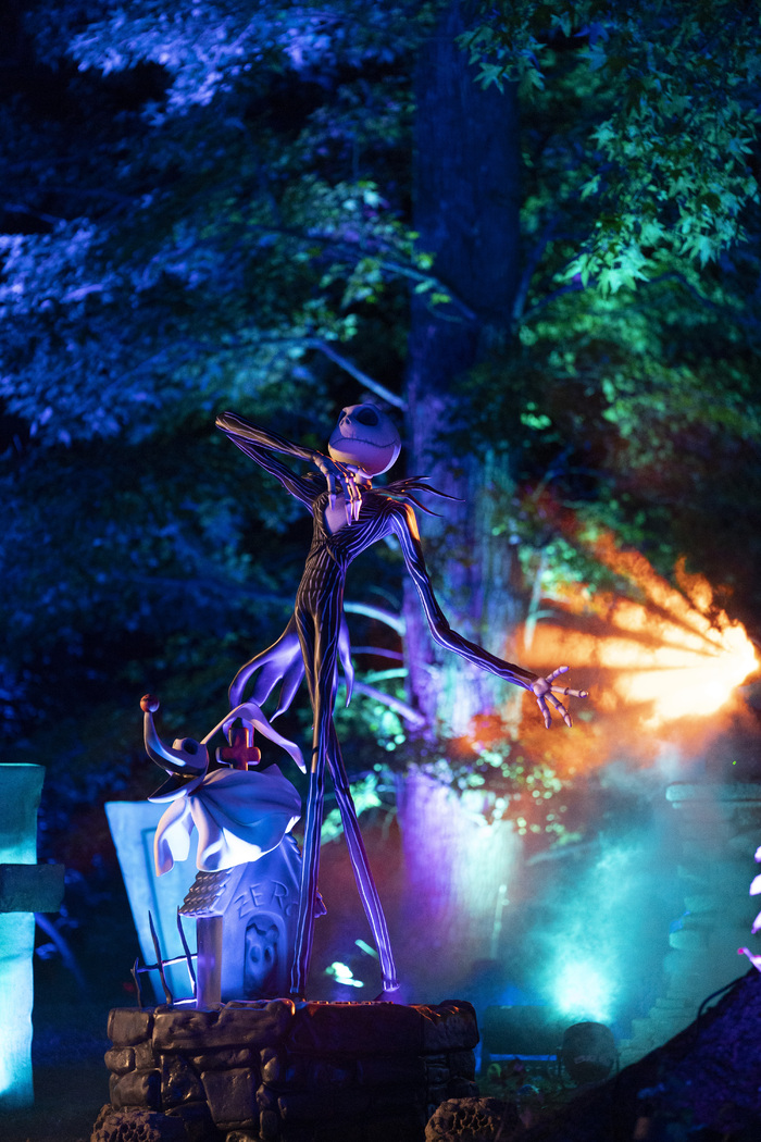 Photos: Inside THE NIGHTMARE BEFORE CHRISTMAS Light Trail at the New York Botanical Garden  Image