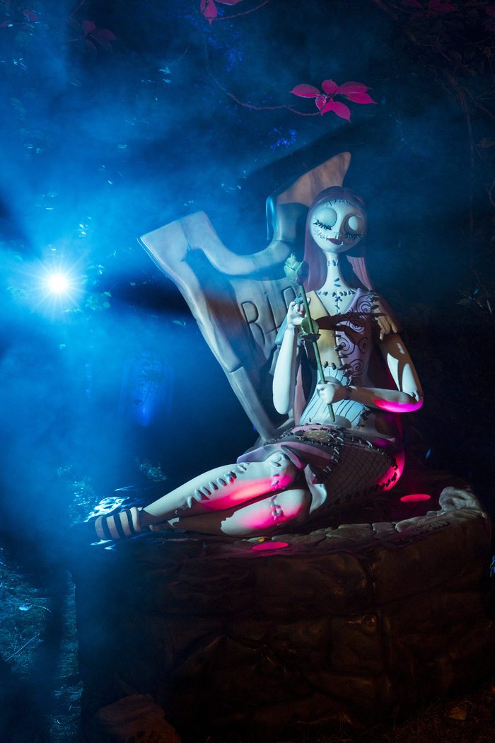 Photos: Inside THE NIGHTMARE BEFORE CHRISTMAS Light Trail at the New York Botanical Garden Image