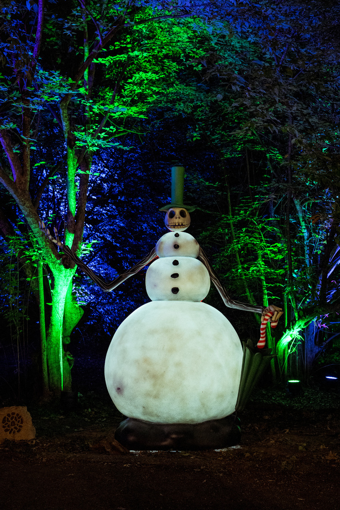 Photos: Inside THE NIGHTMARE BEFORE CHRISTMAS Light Trail at the New York Botanical Garden  Image