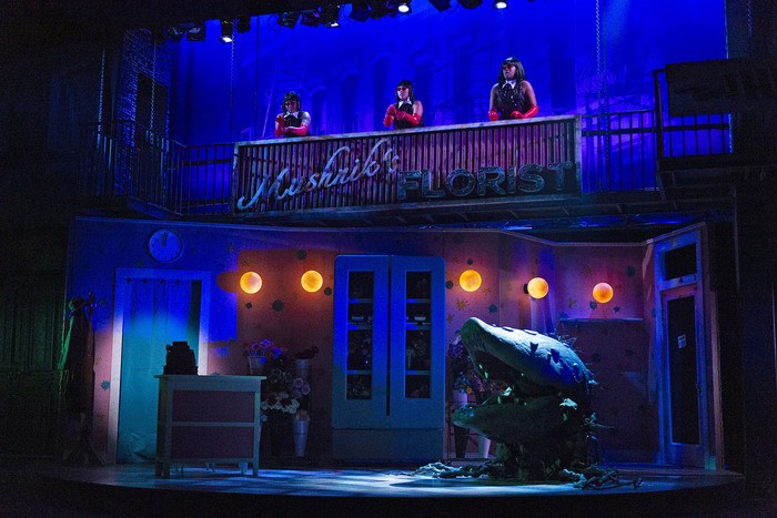 Photos: LITTLE SHOP OF HORRORS at South Coast Repertory  Image