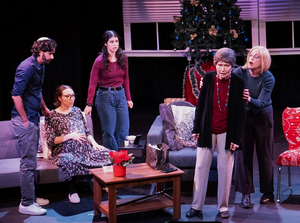 Photos: OBSERVANT at Spark Theatre Festival NYC  Image