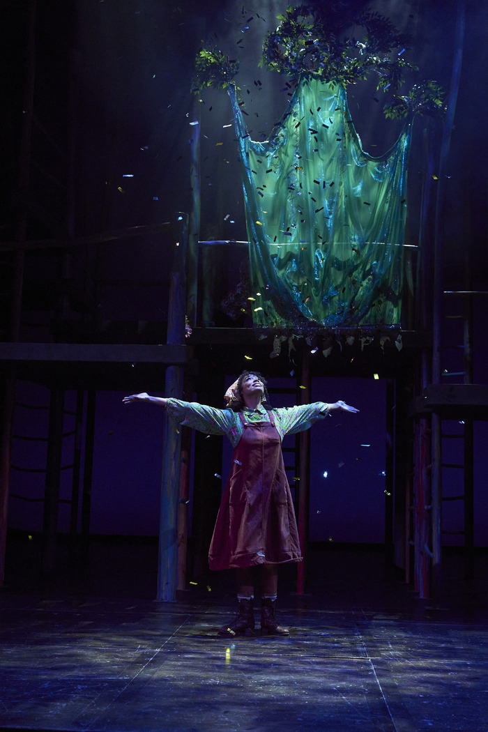 Photos: Great Lakes Theater's INTO THE WOODS Image
