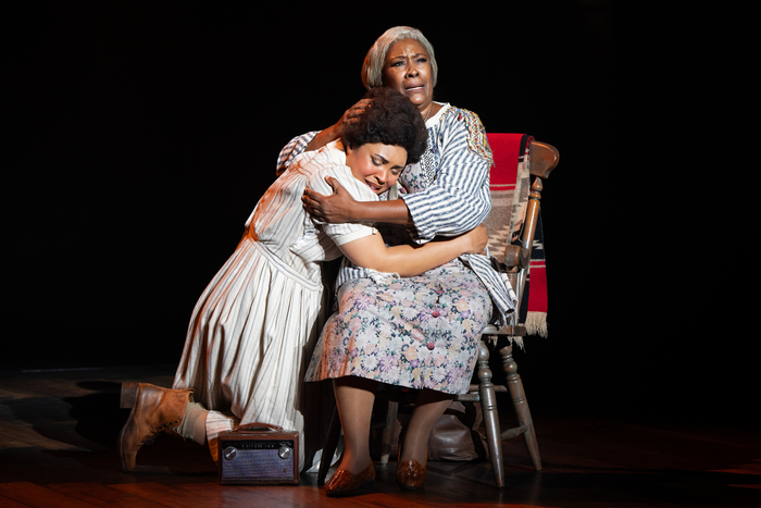 Exclusive Photos & Video: TINA – THE TINA TURNER MUSICAL Second National Tour Image