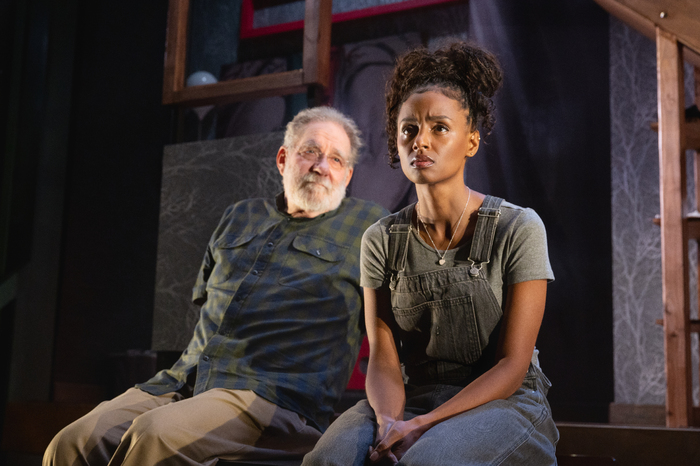 Photos: DIRTY LAUNDRY at WP Theater Starring Constance Shulman & More  Image