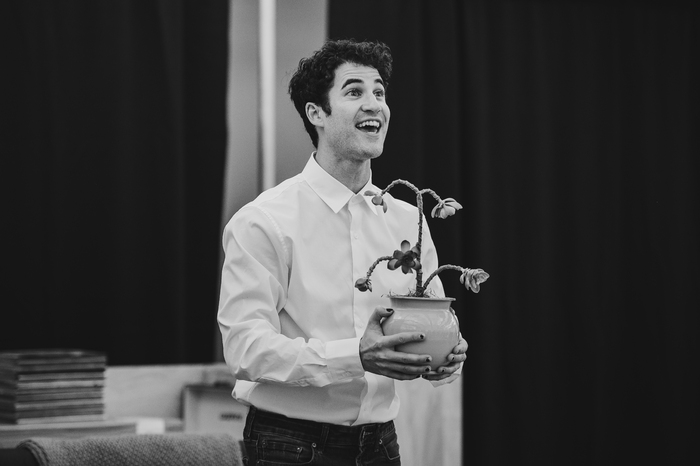 Photos: Darren Criss and Helen J Shen in Rehearsal For MAYBE HAPPY ENDING  Image