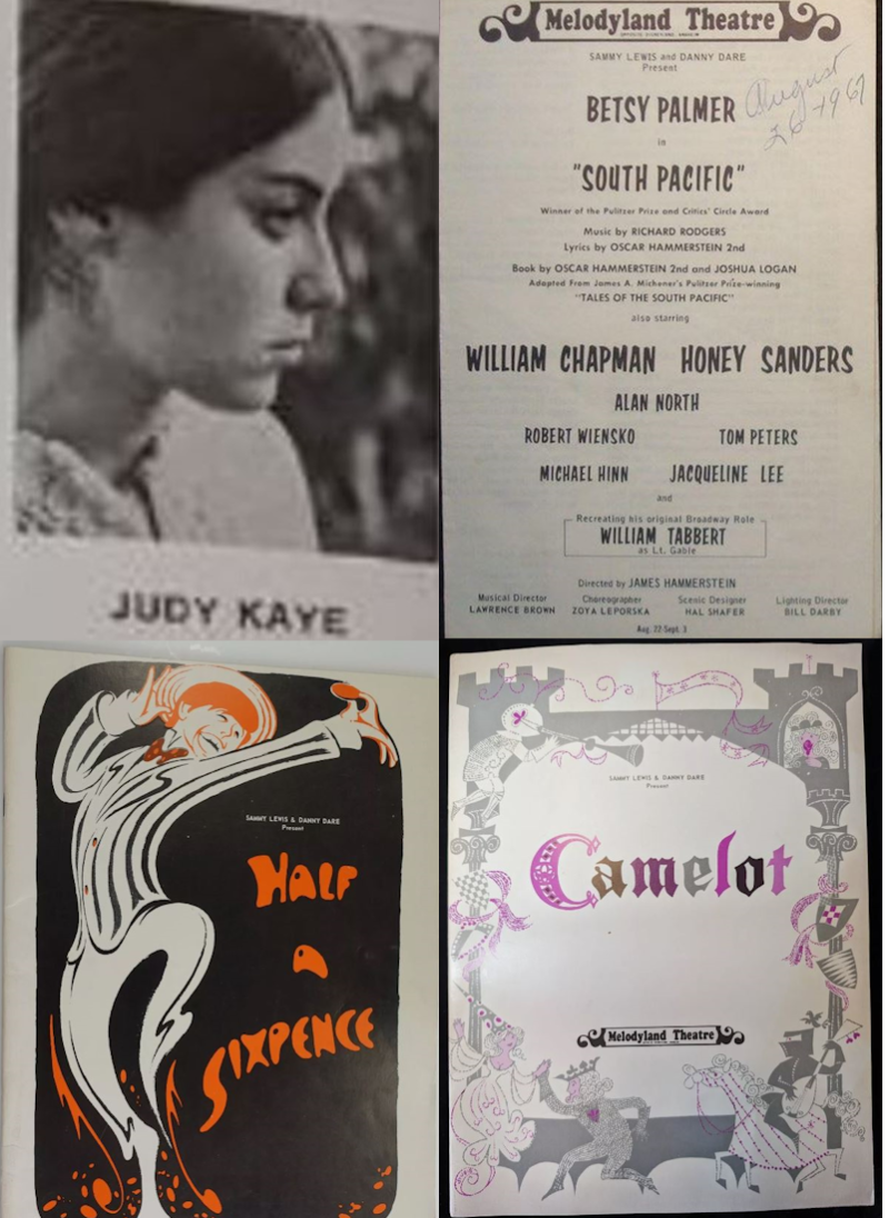 Interview: Theatre Life with Judy Kaye Image