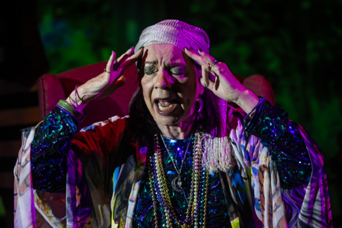 Photos: First look at Evolution Theatre Company's THE CANTERVILLE GHOST Image