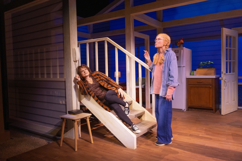 Patti LuPone in Plays- A History Image