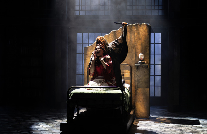 Photos: JEKYLL & HYDE Now Playing at the White Plains Performing Arts Center  Image