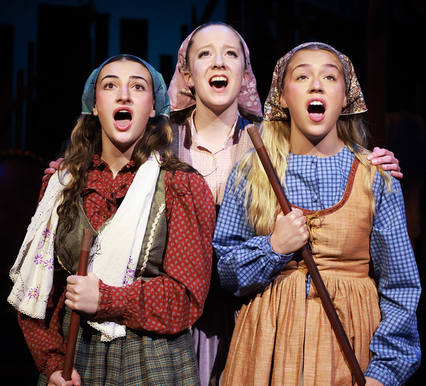 Photos: FIDDLER ON THE ROOF Now On Stage At Beef & Boards  Image