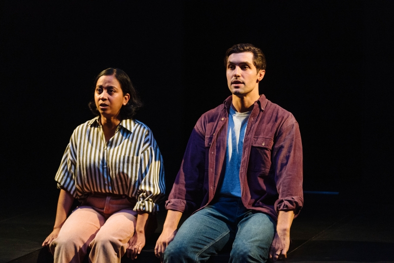 Review: BRACE BRACE, Royal Court Theatre Image