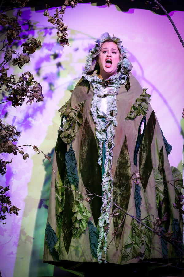 Photos: INTO THE WOODS at MAC Players  Image