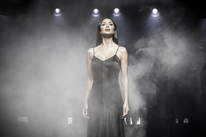 Photos: SUNSET BLVD On Broadway Starring Nicole Scherzinger and More  Image