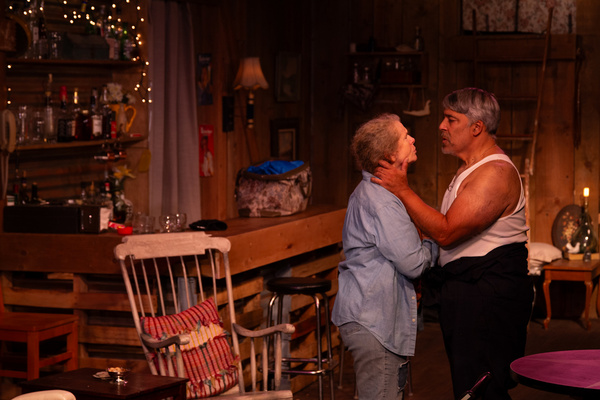 Photos: Redtwist Theatre's World Premiere BOTTLE FLY Image