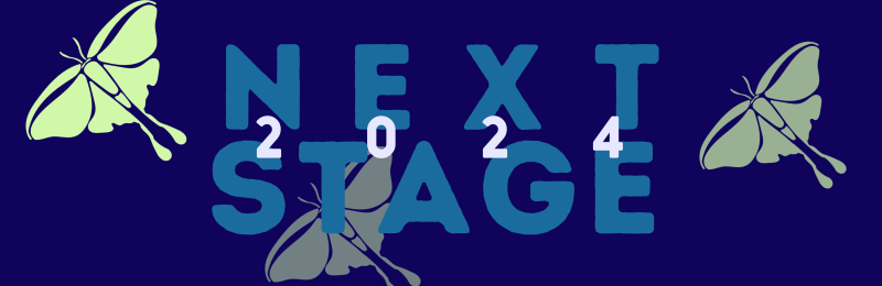 Review: NEXT STAGE FESTIVAL: PART 1 at Buddies In Bad Times Image