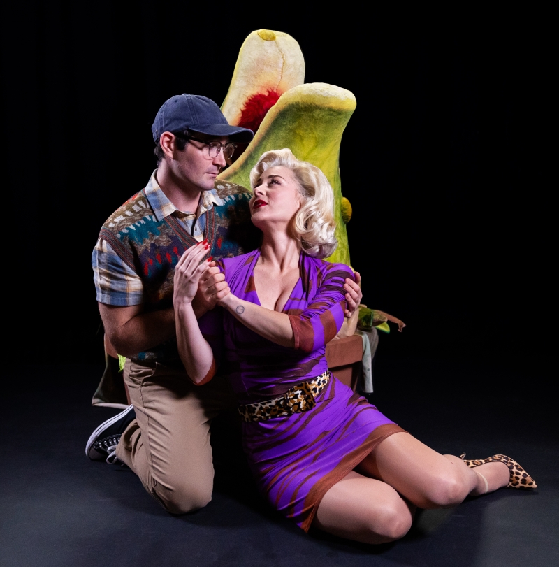 Interview: Mary Kate Moore of LITTLE SHOP OF HORRORS at Theatre Under The Stars  Image