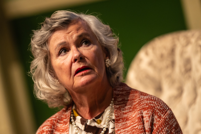Photos: First look at Original Productions Theatre’s SEE NO EVIL Image