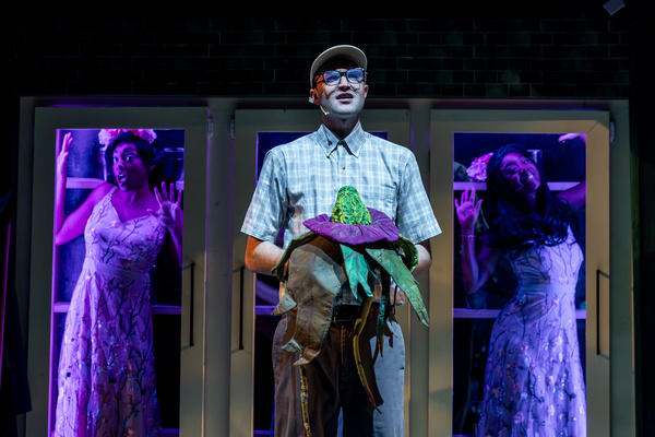 Photos: Music Theater Works' LITTLE SHOP OF HORRORS  Image