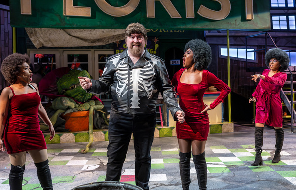 Photos: Music Theater Works' LITTLE SHOP OF HORRORS  Image