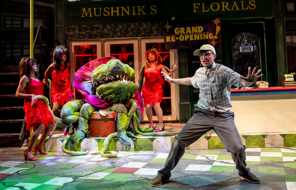 Photos: Music Theater Works' LITTLE SHOP OF HORRORS  Image