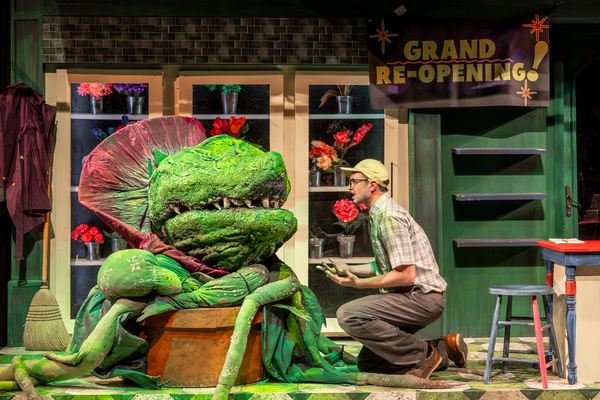 Photos: Music Theater Works' LITTLE SHOP OF HORRORS  Image