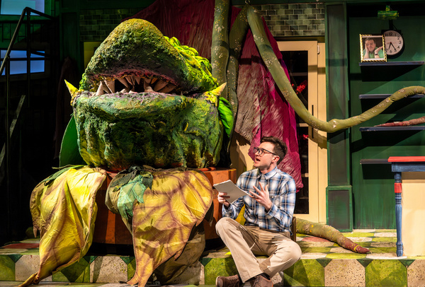 Photos: Music Theater Works' LITTLE SHOP OF HORRORS  Image