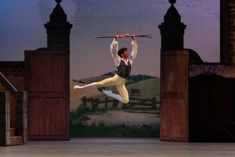 Review: LA FILLE MAL GARDÉE, Sadler's Wells Image