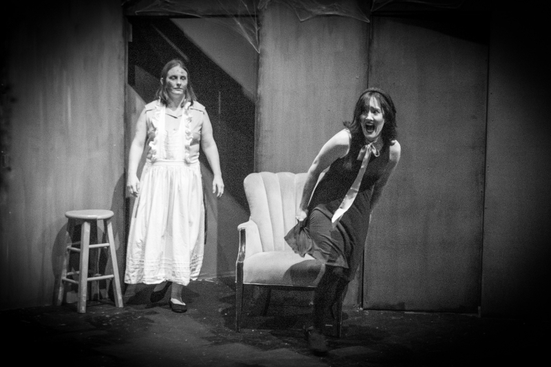 Review: GEORGE A ROMERO'S NIGHT OF THE LIVING DEAD LIVE at Arts & Science Center For Southeast Arkansas  Image