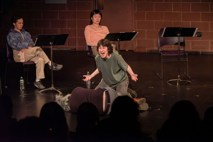 Photos: Go Inside The 2024 BREAKING THE BINARY THEATRE FESTIVAL Image