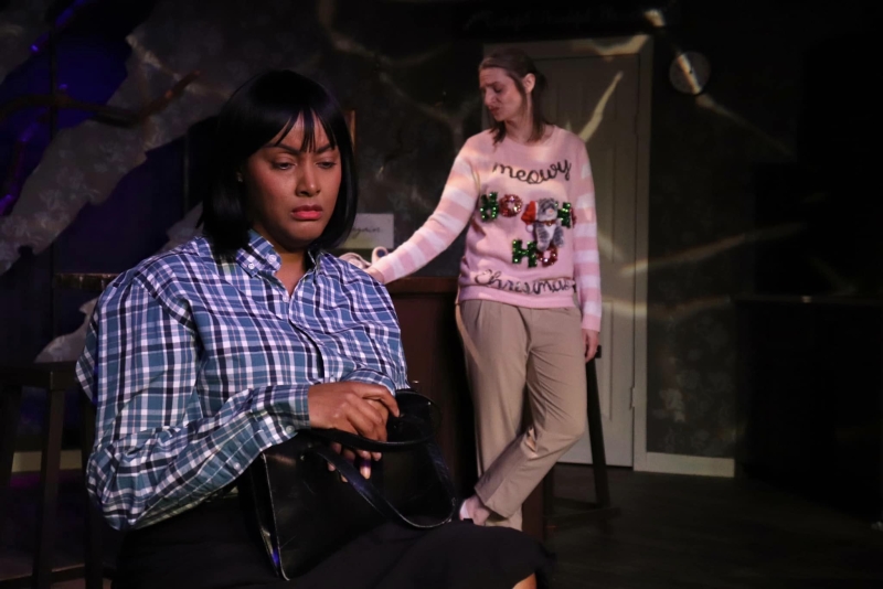 Review: THE SMELL OF THE KILL at Germantown Community Theatre  Image