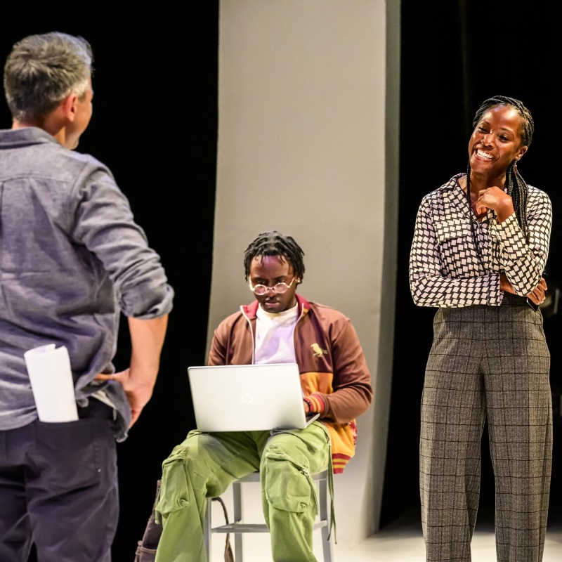 Review: THE ALLY at Mixed Blood Theater Image