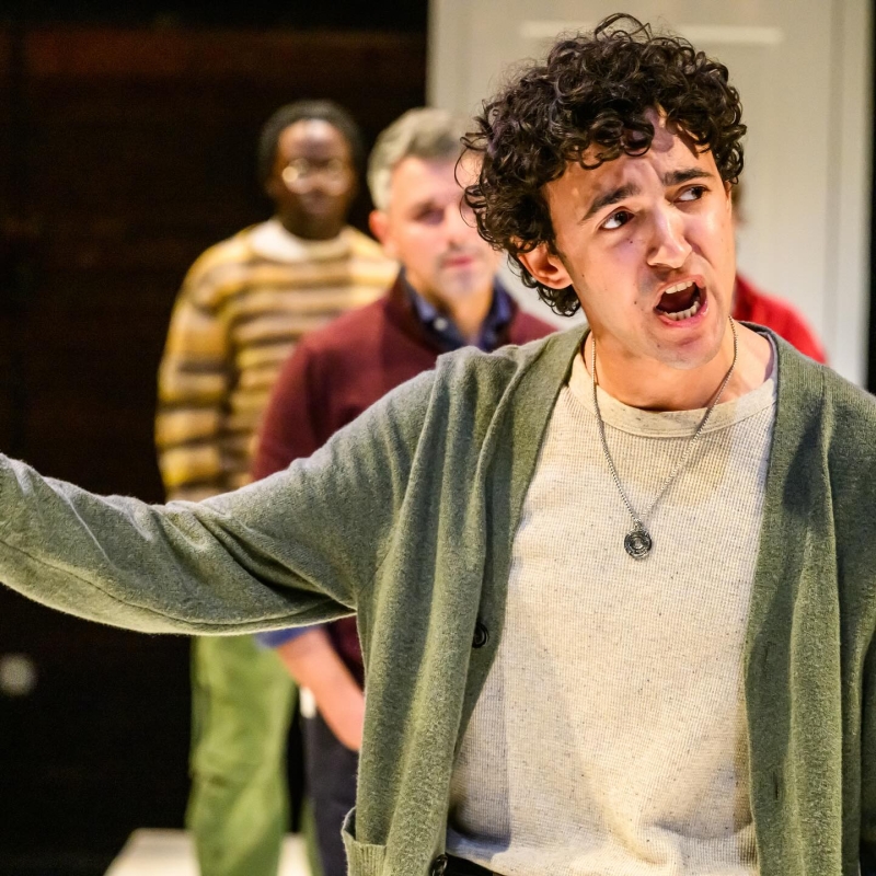 Review: THE ALLY at Mixed Blood Theater Image