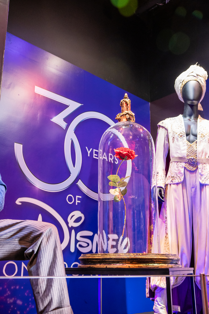 Photos: DISNEY ON BROADWAY: 30 YEARS OF MAGIC Exhibit at The Museum of Broadway  Image