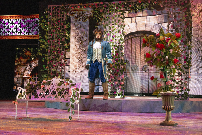 Photos: BEAUTY AND THE BEAST at Joburg Theatre Image